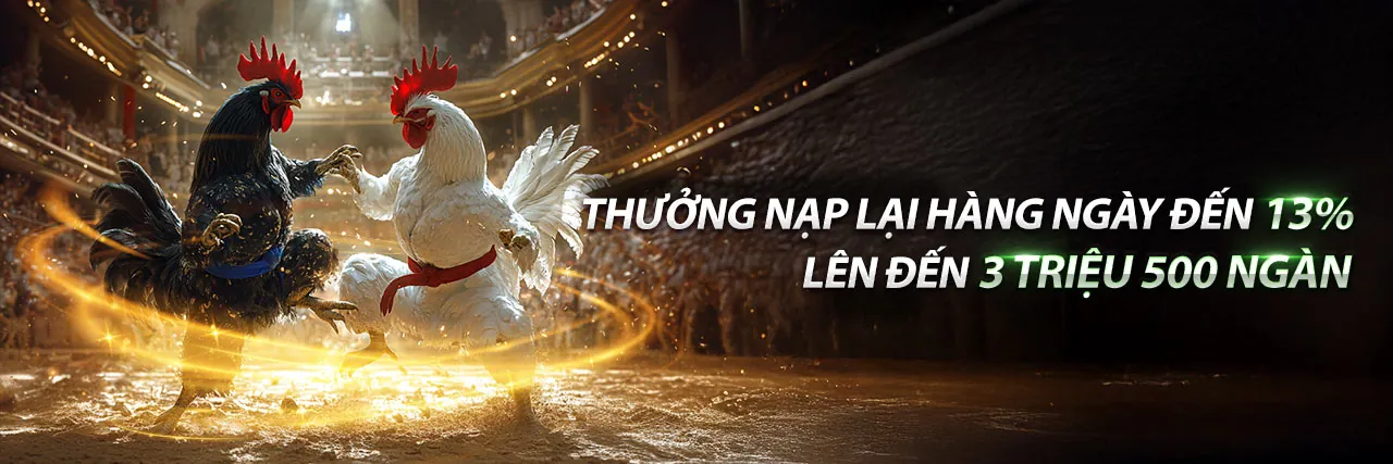Đá gà trực tuyến xin88 game